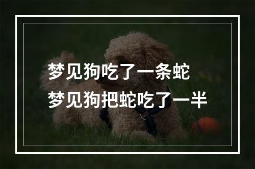 梦见狗吃了一条蛇 梦见狗把蛇吃了一半