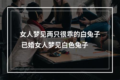 女人梦见两只很乖的白兔子 已婚女人梦见白色兔子