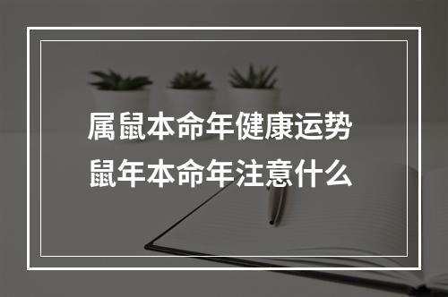 属鼠本命年健康运势 鼠年本命年注意什么