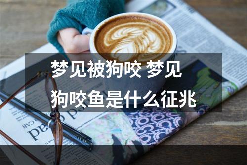 梦见被狗咬 梦见狗咬鱼是什么征兆