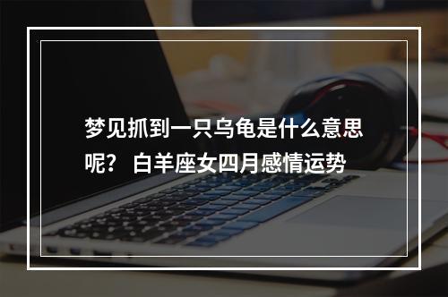 梦见抓到一只乌龟是什么意思呢？ 白羊座女四月感情运势