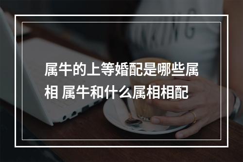 属牛的上等婚配是哪些属相 属牛和什么属相相配