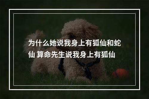 为什么她说我身上有狐仙和蛇仙 算命先生说我身上有狐仙