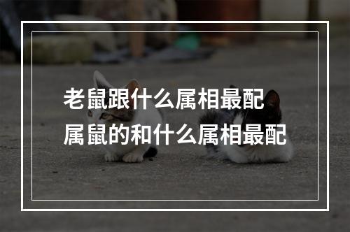 老鼠跟什么属相最配 属鼠的和什么属相最配