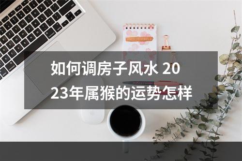 如何调房子风水 2023年属猴的运势怎样