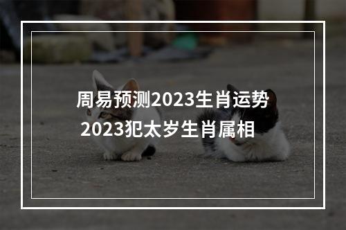 周易预测2023生肖运势 2023犯太岁生肖属相