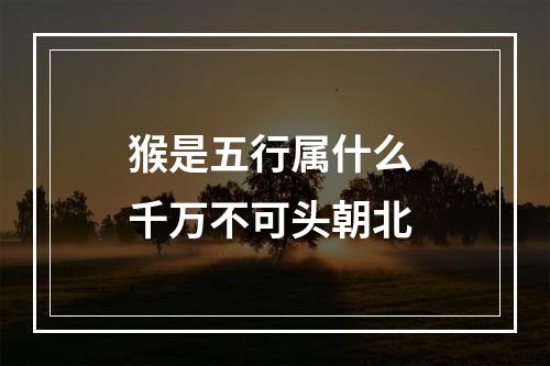 猴是五行属什么 千万不可头朝北