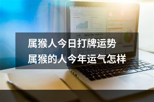 属猴人今日打牌运势 属猴的人今年运气怎样