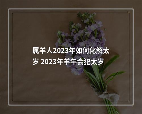 属羊人2023年如何化解太岁 2023年羊年会犯太岁