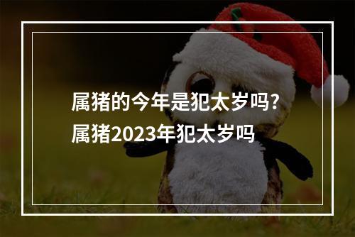 属猪的今年是犯太岁吗? 属猪2023年犯太岁吗