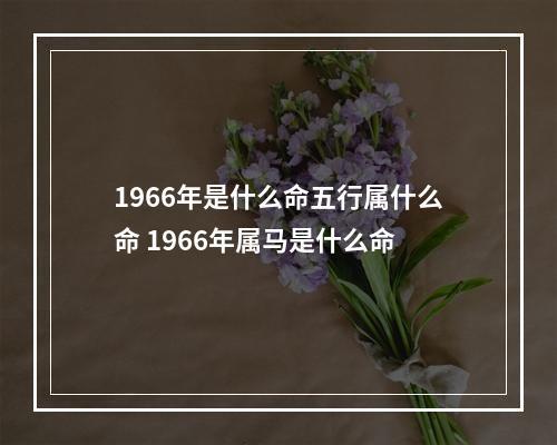 1966年是什么命五行属什么命 1966年属马是什么命