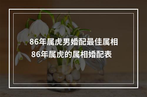 86年属虎男婚配最佳属相 86年属虎的属相婚配表