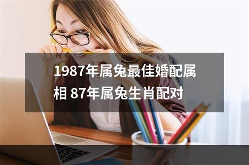 1987年属兔最佳婚配属相 87年属兔生肖配对