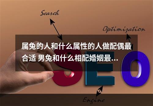 属兔的人和什么属性的人做配偶最合适 男兔和什么相配婚姻最好