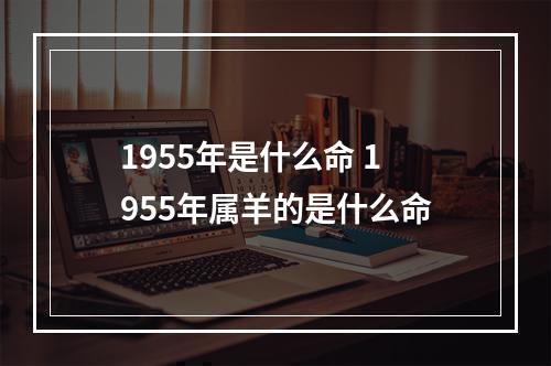 1955年是什么命 1955年属羊的是什么命