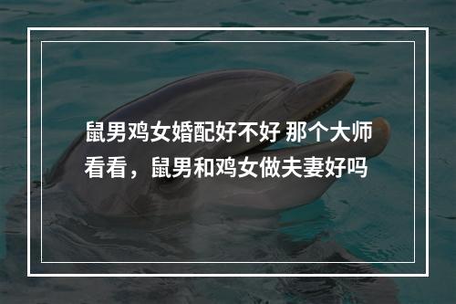 鼠男鸡女婚配好不好 那个大师看看，鼠男和鸡女做夫妻好吗