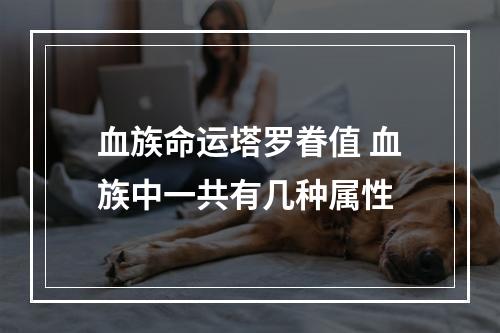 血族命运塔罗眷值 血族中一共有几种属性