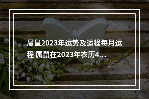 属鼠2023年运势及运程每月运程 属鼠在2023年农历4月运势