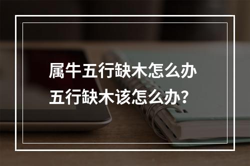 属牛五行缺木怎么办 五行缺木该怎么办？