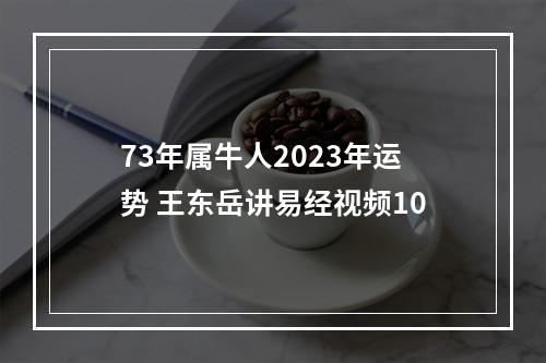 73年属牛人2023年运势 王东岳讲易经视频10