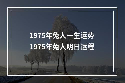 1975年兔人一生运势 1975年兔人明日运程
