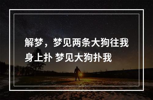 解梦，梦见两条大狗往我身上扑 梦见大狗扑我