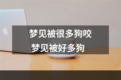 梦见被很多狗咬 梦见被好多狗