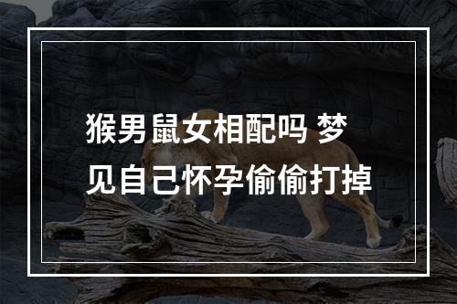 猴男鼠女相配吗 梦见自己怀孕偷偷打掉