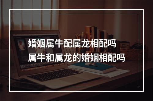 婚姻属牛配属龙相配吗 属牛和属龙的婚姻相配吗