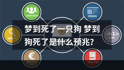梦到死了一只狗 梦到狗死了是什么预兆？