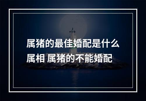 属猪的最佳婚配是什么属相 属猪的不能婚配