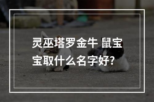 灵巫塔罗金牛 鼠宝宝取什么名字好?
