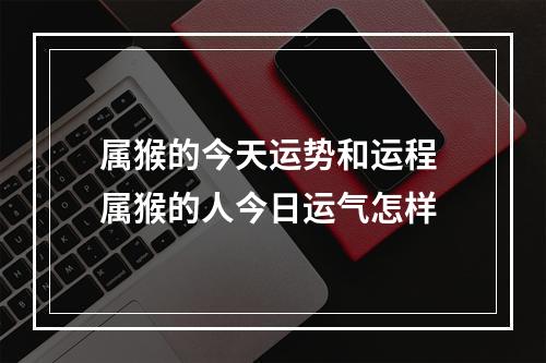属猴的今天运势和运程 属猴的人今日运气怎样
