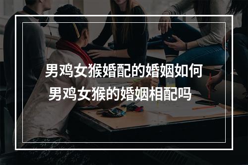 男鸡女猴婚配的婚姻如何 男鸡女猴的婚姻相配吗