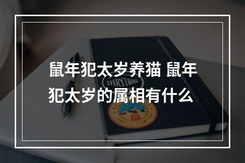 鼠年犯太岁养猫 鼠年犯太岁的属相有什么