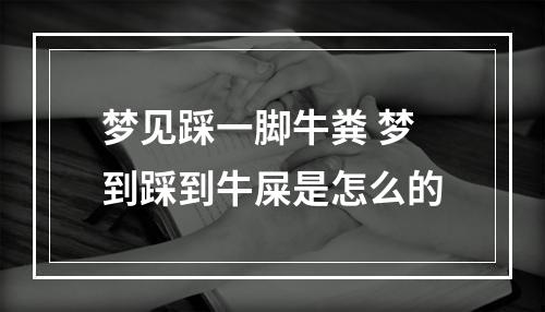 梦见踩一脚牛粪 梦到踩到牛屎是怎么的