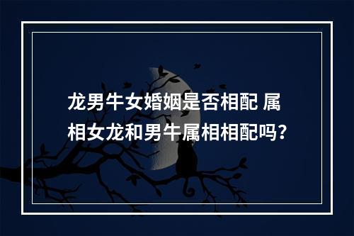 龙男牛女婚姻是否相配 属相女龙和男牛属相相配吗？