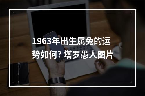 1963年出生属兔的运势如何? 塔罗愚人图片