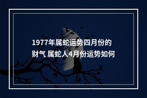 1977年属蛇运势四月份的财气 属蛇人4月份运势如何