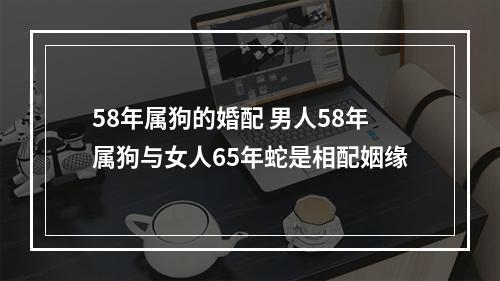 58年属狗的婚配 男人58年属狗与女人65年蛇是相配姻缘