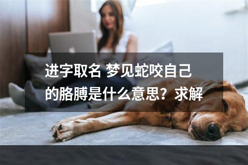 进字取名 梦见蛇咬自己的胳膊是什么意思？求解