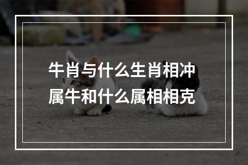 牛肖与什么生肖相冲 属牛和什么属相相克
