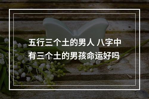 五行三个土的男人 八字中有三个土的男孩命运好吗