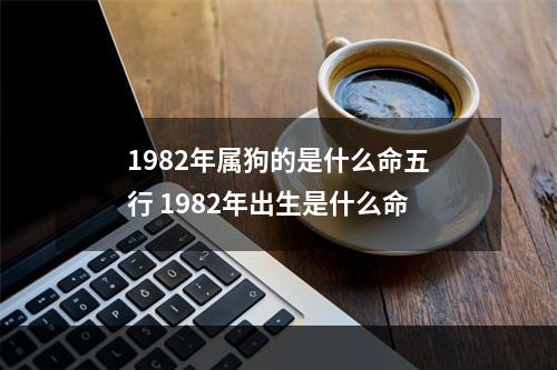 1982年属狗的是什么命五行 1982年出生是什么命