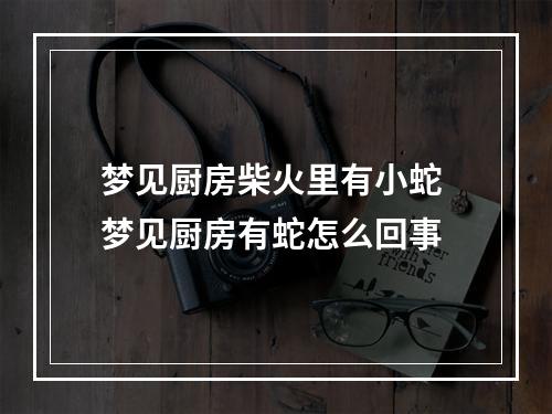 梦见厨房柴火里有小蛇 梦见厨房有蛇怎么回事