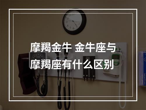 摩羯金牛 金牛座与摩羯座有什么区别