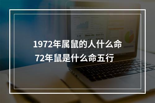 1972年属鼠的人什么命 72年鼠是什么命五行