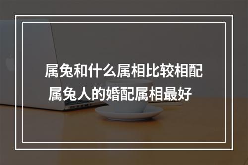 属兔和什么属相比较相配 属兔人的婚配属相最好