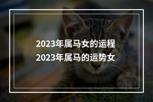 2023年属马女的运程 2023年属马的运势女