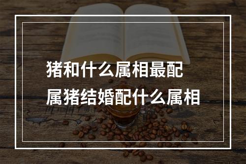 猪和什么属相最配 属猪结婚配什么属相